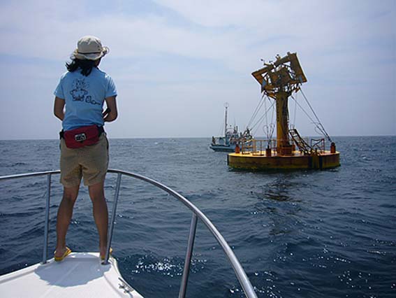 d0147156_12553465.jpg