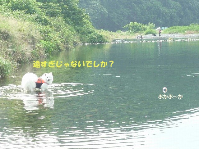 e0176159_9314143.jpg
