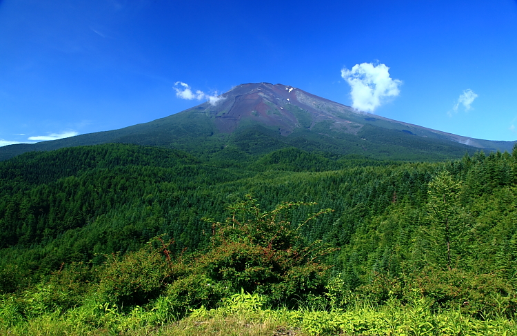 a0150260_23265940.jpg