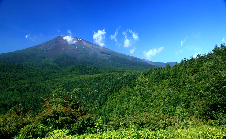 a0150260_2328939.jpg