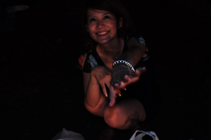 d0171463_1534947.jpg