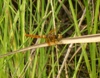 e0197164_9274213.jpg