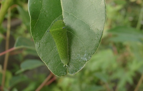 b0008366_23131333.jpg