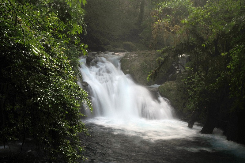 b0131167_1214529.jpg