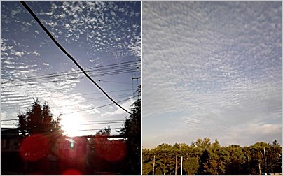 a0050669_552582.jpg