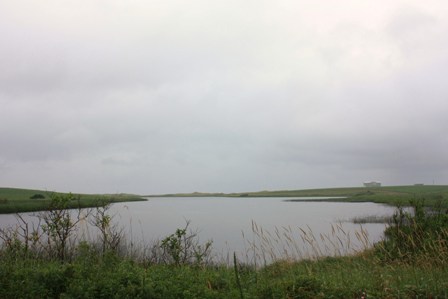 a0100975_1225815.jpg