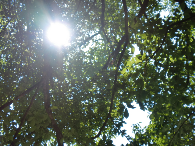 c0179376_2049698.jpg