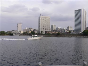 f0001378_1625559.jpg