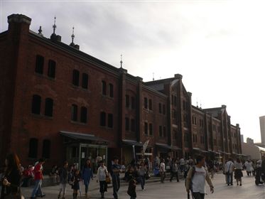f0001378_16282655.jpg