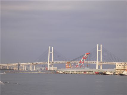 f0001378_1630587.jpg