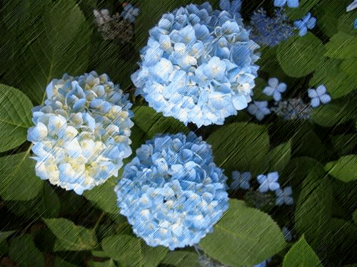 e0143690_10275831.gif