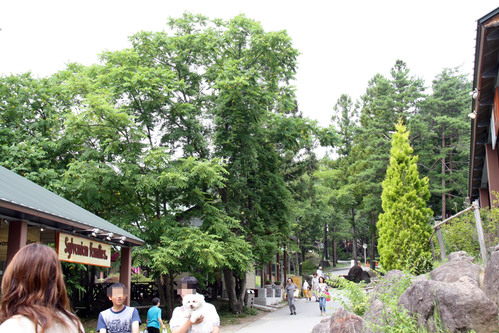 b0151893_18105785.jpg