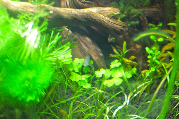 c0225297_11405196.jpg