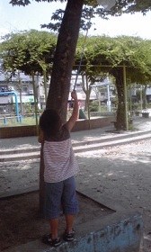 f0195798_13362591.jpg