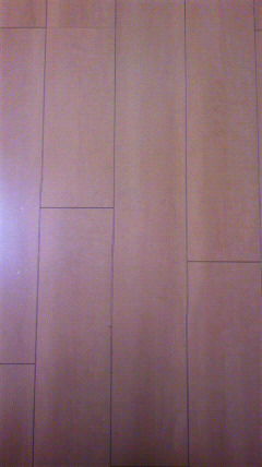 c0090100_1118131.jpg