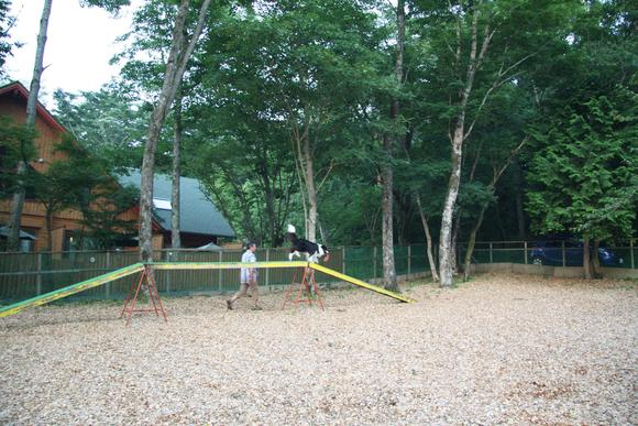 f0034602_22202413.jpg