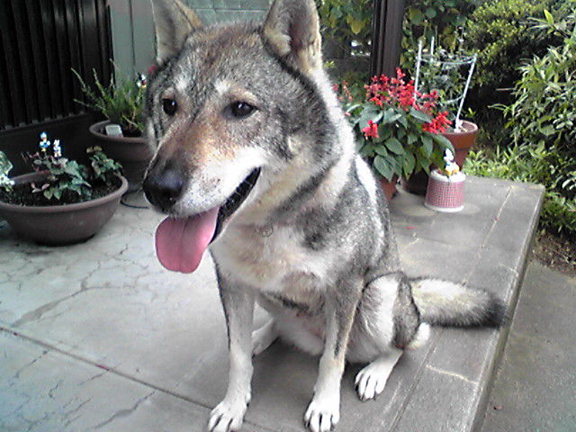 f0079202_2133595.jpg