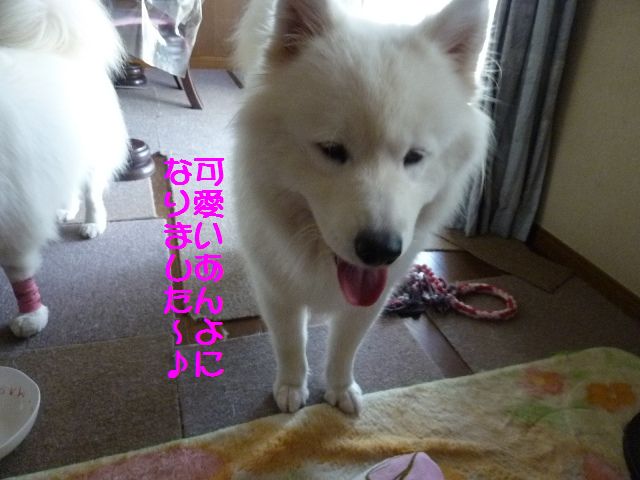 e0018604_19415131.jpg