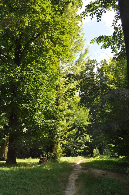 d0179006_22592730.jpg