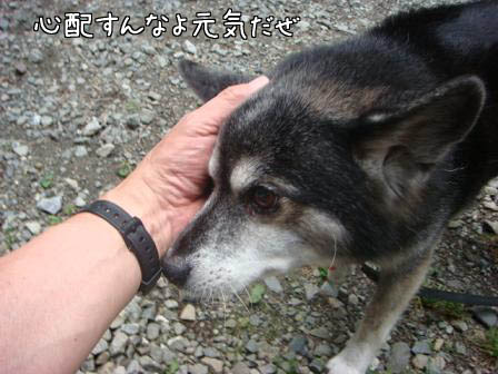 f0064906_1545498.jpg