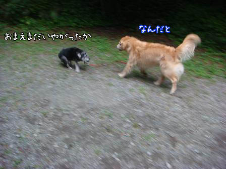f0064906_1611287.jpg