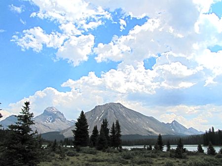 b0051109_3153981.jpg
