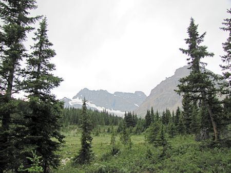 b0051109_3225291.jpg