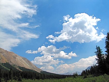 b0051109_353649.jpg