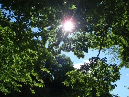 c0209409_1933394.jpg