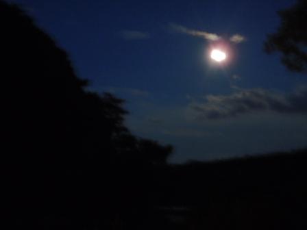 c0209409_2125351.jpg