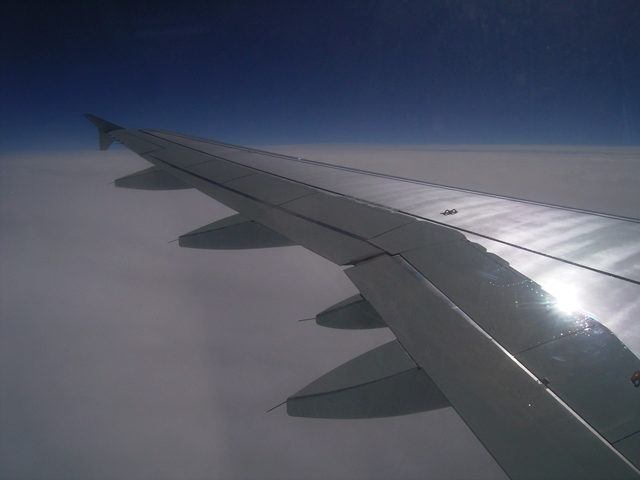 a0030714_621534.jpg