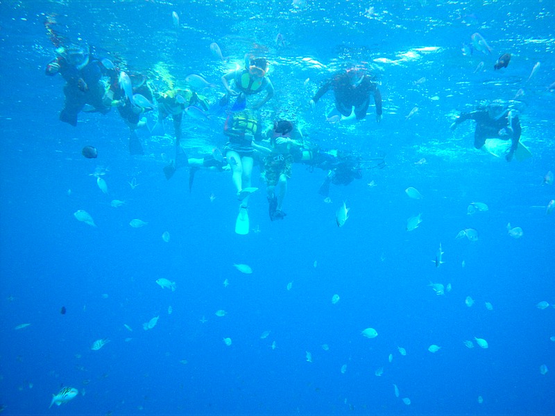 b0089616_16391814.jpg