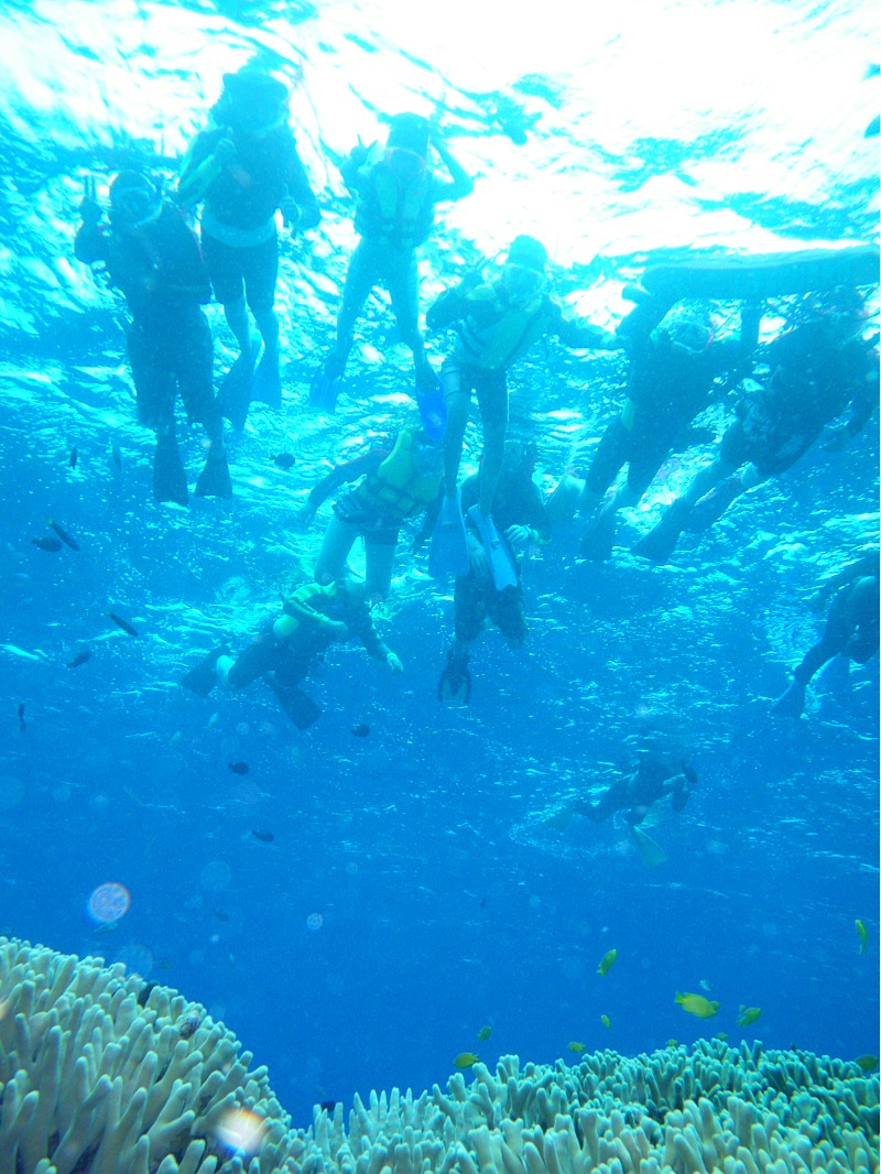 b0089616_1639227.jpg
