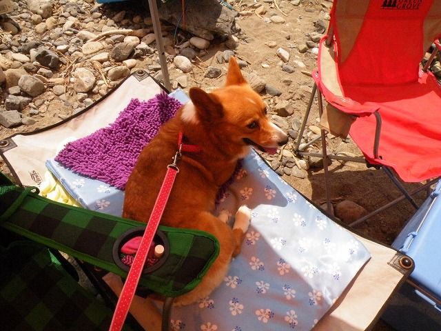 c0127617_16252743.jpg