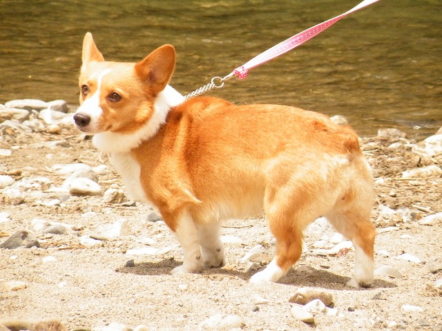 c0127617_1625276.jpg