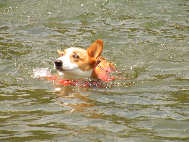 c0127617_1691935.jpg