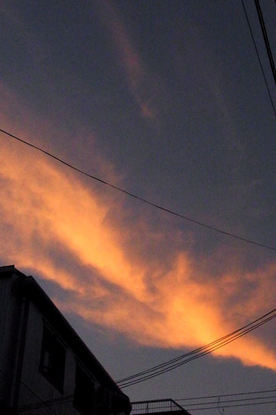 e0083517_4515388.jpg
