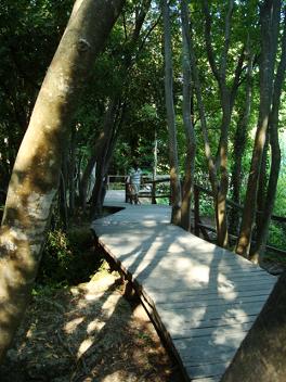 c0188818_8104388.jpg