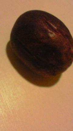 c0097620_2332376.jpg