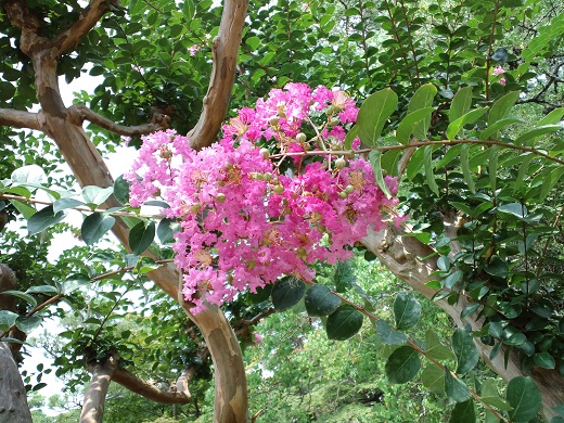 b0188121_20241838.jpg