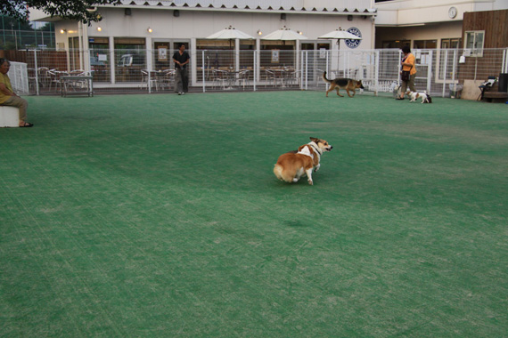 e0071225_0134715.jpg