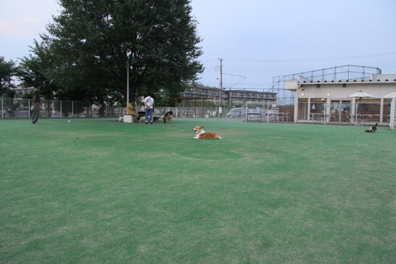 e0071225_0252641.jpg