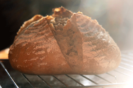 c0221827_11261316.gif