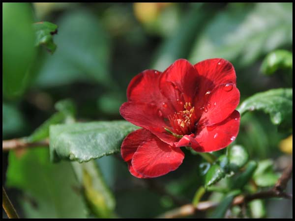 d0029829_9524329.jpg