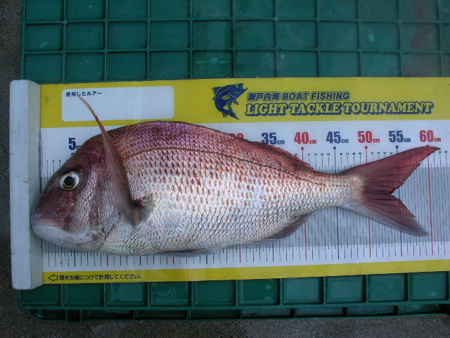 a0132631_15255458.jpg