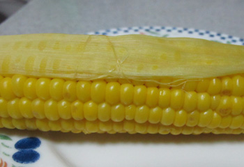 e0138031_726222.jpg