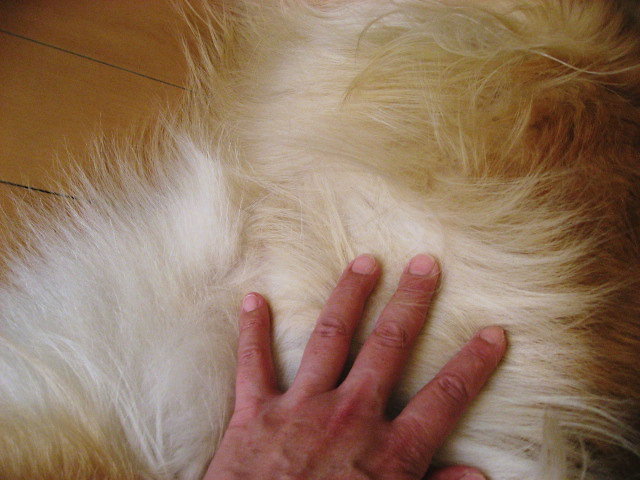 a0149240_19413392.jpg