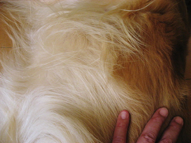 a0149240_1943263.jpg