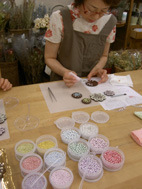b0125541_015787.jpg