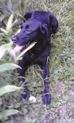 c0075641_18412242.jpg